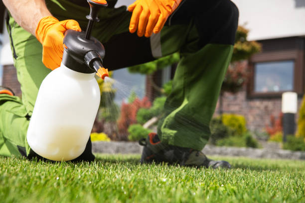 Wildlife Control Services in Union, MO
