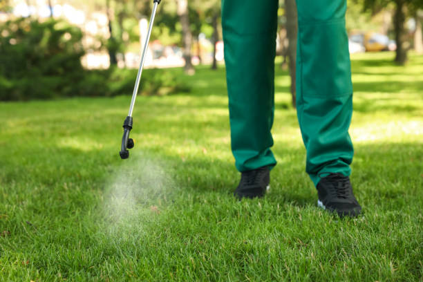 Best Pest Removal Services  in Union, MO