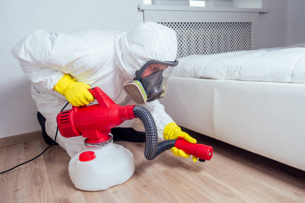 Best Mosquito Control Services  in Union, MO