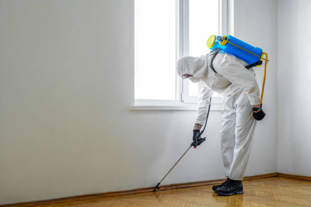 Best Local Pest Control Services  in Union, MO