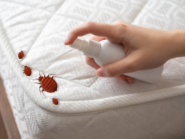Best Affordable Pest Control Services  in Union, MO