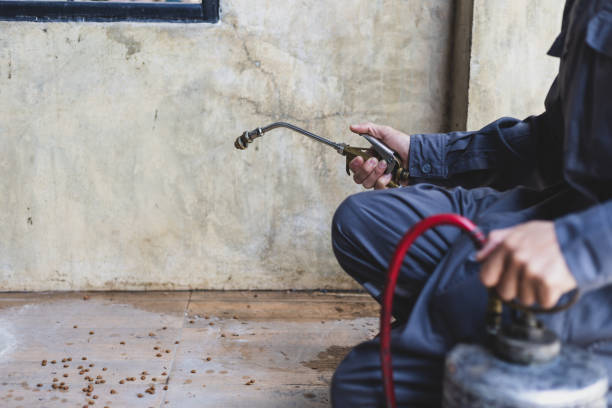 Best Affordable Pest Control Services  in Union, MO